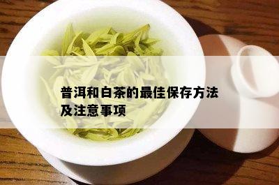 普洱和白茶的更佳保存方法及注意事项