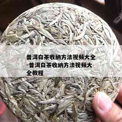 普洱白茶收纳方法视频大全-普洱白茶收纳方法视频大全教程