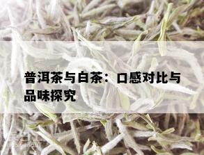 普洱茶与白茶：口感对比与品味探究