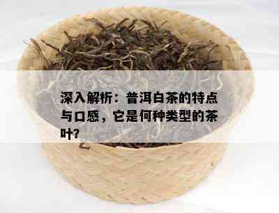 深入解析：普洱白茶的特点与口感，它是何种类型的茶叶？