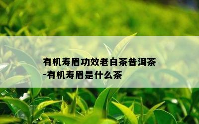 有机寿眉功效老白茶普洱茶-有机寿眉是什么茶