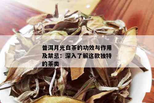 普洱月光白茶的功效与作用及禁忌：深入了解这款独特的茶类