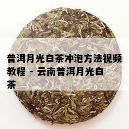 普洱月光白茶冲泡方法视频教程 - 云南普洱月光白茶