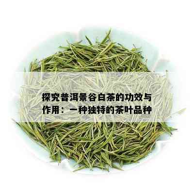 探究普洱景谷白茶的功效与作用：一种独特的茶叶品种