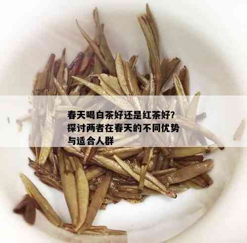 春天喝白茶好还是红茶好？探讨两者在春天的不同优势与适合人群