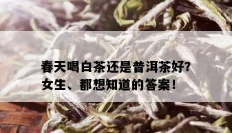 春天喝白茶还是普洱茶好？女生、都想知道的答案！