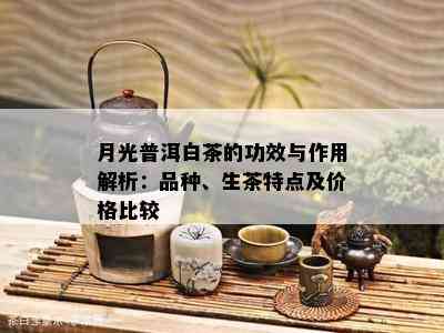 月光普洱白茶的功效与作用解析：品种、生茶特点及价格比较