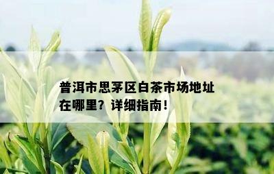 普洱市思茅区白茶市场地址在哪里？详细指南！