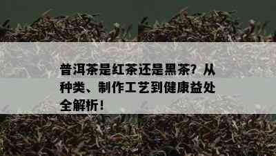 普洱茶是红茶还是黑茶？从种类、制作工艺到健康益处全解析！