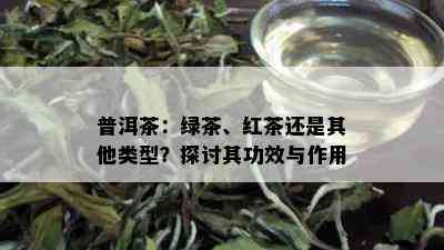 普洱茶：绿茶、红茶还是其他类型？探讨其功效与作用