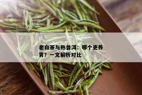 老白茶与熟普洱：哪个更养胃？一文解析对比