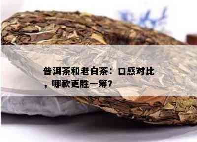 普洱茶和老白茶：口感对比，哪款更胜一筹？