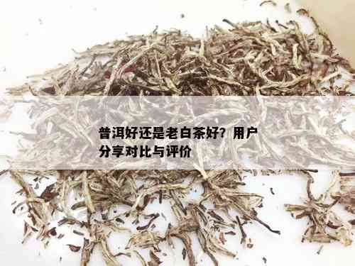 普洱好还是老白茶好？用户分享对比与评价