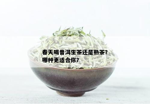 春天喝普洱生茶还是熟茶？哪种更适合你？