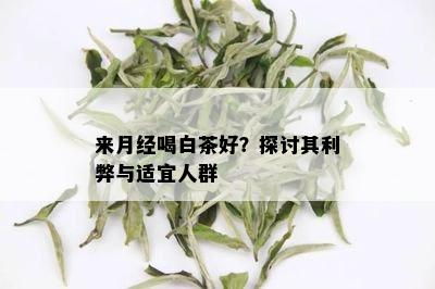 来月经喝白茶好？探讨其利弊与适宜人群