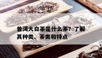 普洱大白茶是什么茶？了解其种类、茶类和特点