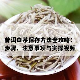 普洱白茶保存方法全攻略：步骤、注意事项与实操视频