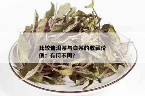 比较普洱茶与白茶的收藏价值：有何不同？