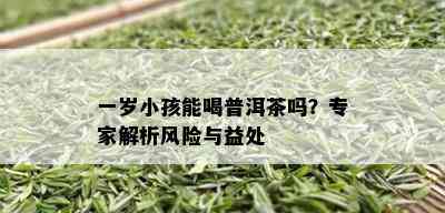 一岁小孩能喝普洱茶吗？专家解析风险与益处