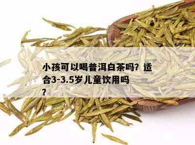 小孩可以喝普洱白茶吗？适合3-3.5岁儿童饮用吗？