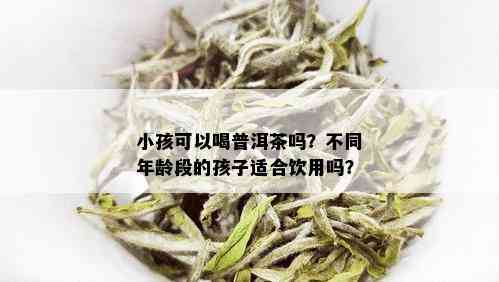 小孩可以喝普洱茶吗？不同年龄段的孩子适合饮用吗？