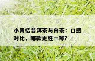 小青桔普洱茶与白茶：口感对比，哪款更胜一筹？