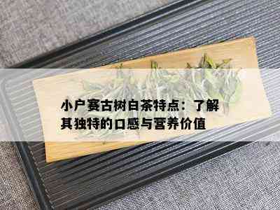 小户赛古树白茶特点：了解其独特的口感与营养价值