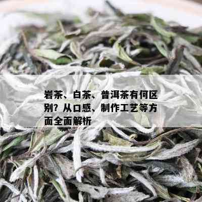 岩茶、白茶、普洱茶有何区别？从口感、制作工艺等方面全面解析