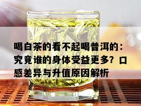 喝白茶的看不起喝普洱的：究竟谁的身体受益更多？口感差异与升值原因解析