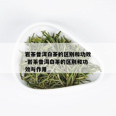 岩茶普洱白茶的区别和功效-岩茶普洱白茶的区别和功效与作用