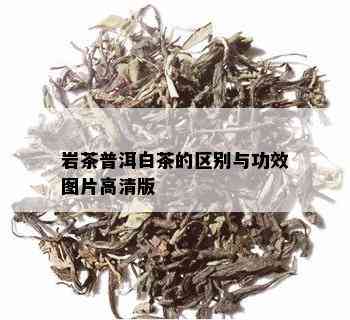 岩茶普洱白茶的区别与功效图片高清版