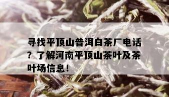 寻找平顶山普洱白茶厂电话？了解河南平顶山茶叶及茶叶场信息！