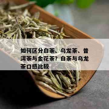 如何区分白茶、乌龙茶、普洱茶与金花茶？白茶与乌龙茶口感比较