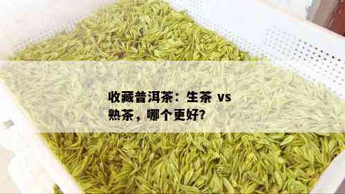 收藏普洱茶：生茶 vs 熟茶，哪个更好？