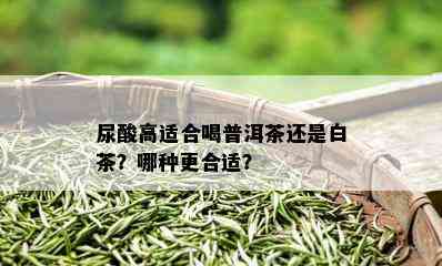 尿酸高适合喝普洱茶还是白茶？哪种更合适？