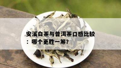 安溪白茶与普洱茶口感比较：哪个更胜一筹？