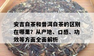 安吉白茶和普洱白茶的区别在哪里？从产地、口感、功效等方面全面解析