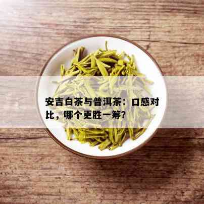 安吉白茶与普洱茶：口感对比，哪个更胜一筹？