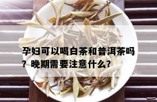 孕妇可以喝白茶和普洱茶吗？晚期需要注意什么？