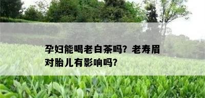 孕妇能喝老白茶吗？老寿眉对胎儿有影响吗？