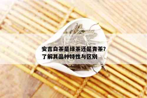 安吉白茶是绿茶还是青茶？了解其品种特性与区别