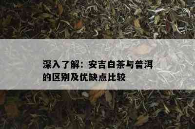 深入了解：安吉白茶与普洱的区别及优缺点比较