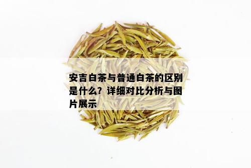 安吉白茶与普通白茶的区别是什么？详细对比分析与图片展示