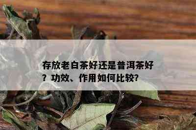 存放老白茶好还是普洱茶好？功效、作用如何比较？