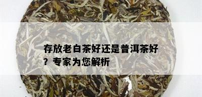 存放老白茶好还是普洱茶好？专家为您解析