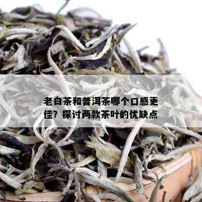 老白茶和普洱茶哪个口感更佳？探讨两款茶叶的优缺点