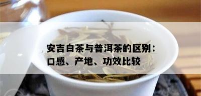 安吉白茶与普洱茶的区别：口感、产地、功效比较