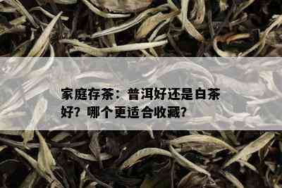 家庭存茶：普洱好还是白茶好？哪个更适合收藏？