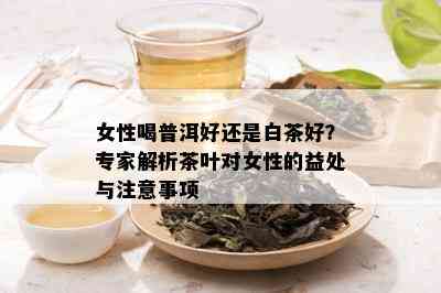 女性喝普洱好还是白茶好？专家解析茶叶对女性的益处与注意事项