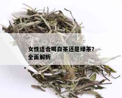 女性适合喝白茶还是绿茶？全面解析